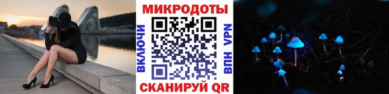 маркетплейс наркотические препараты  Тайга  Псилоцибиновые грибы Psilocybine cubensis  omg ONION 