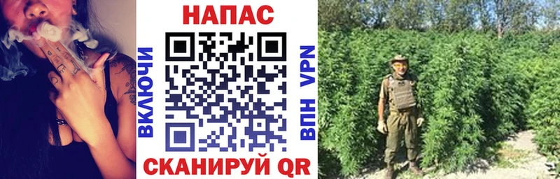 Марихуана план  Тайга 